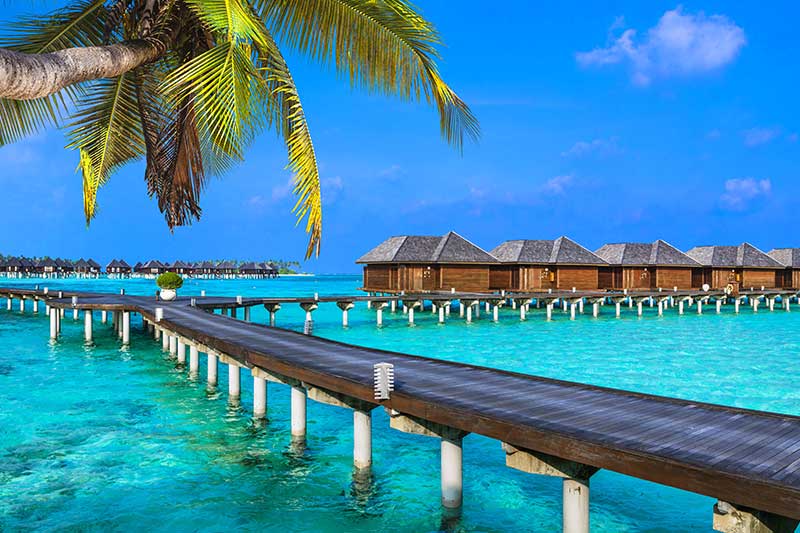 Op vakantie blijf veilig | Wat weten we over cybercriminaliteit